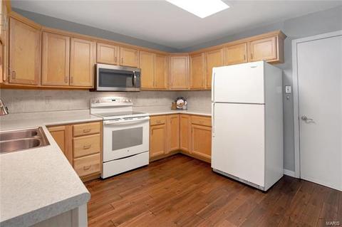 1313 Tahoe Valley Ct, Ballwin, MO 63021 photo 17