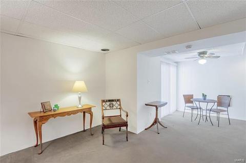 1313 Tahoe Valley Ct, Ballwin, MO 63021 photo 33