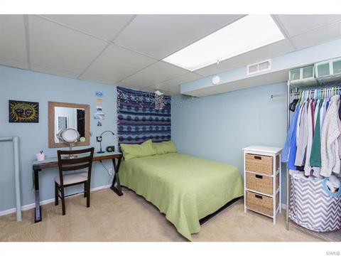 492 Tumulty Dr, Ballwin, MO 63021 photo 20