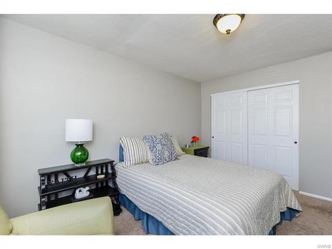 492 Tumulty Dr, Ballwin, MO 63021 photo 13