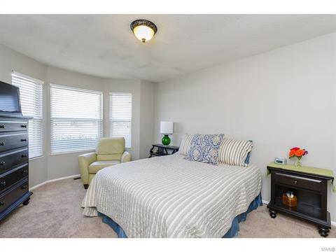 492 Tumulty Dr, Ballwin, MO 63021 photo 12