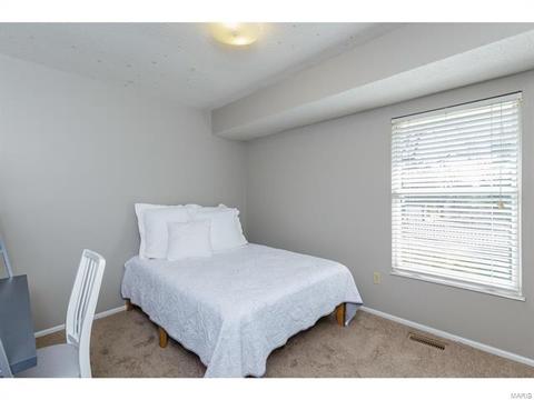 492 Tumulty Dr, Ballwin, MO 63021 photo 15
