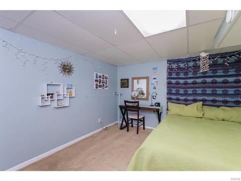 492 Tumulty Dr, Ballwin, MO 63021 photo 21