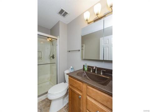 492 Tumulty Dr, Ballwin, MO 63021 photo 14