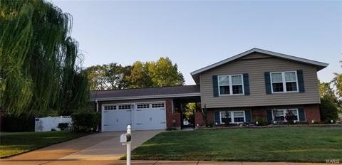2703 Danforth Dr, Saint Louis, MO 63129 photo 3