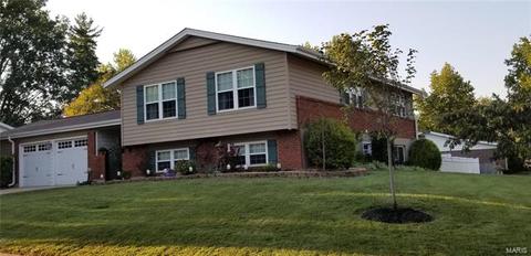 2703 Danforth Dr, Saint Louis, MO 63129 photo 4