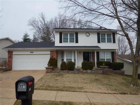 601 Rustic Valley Dr, Ballwin, MO 63021 photo 1