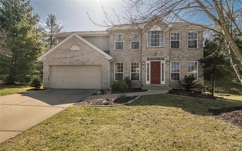 1112 Gateford Ridge Ct, Ballwin, MO 63021 photo 1
