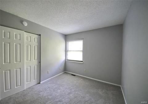 2347 Hidden Meadow Ln, Ballwin, MO 63021 photo 23