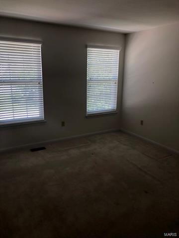 1027 Turtle Crk, O'fallon, MO 63366 photo 10