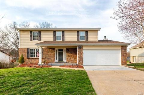807 Palm Bay Dr, Ellisville, MO 63021 photo 1