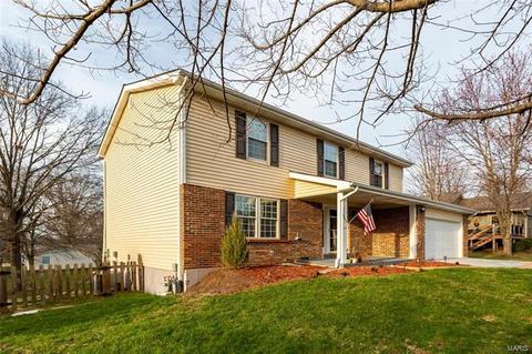 807 Palm Bay Dr, Ellisville, MO 63021 photo 2