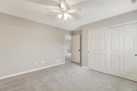 234 Chestnut Hill Dr, O'fallon, MO 63368 photo 22