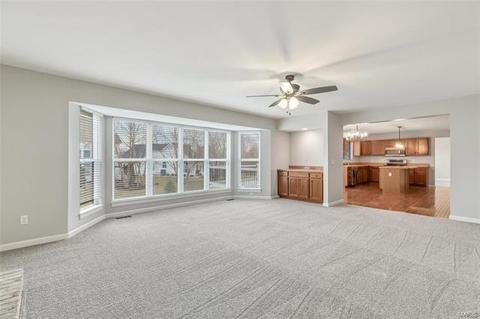 234 Chestnut Hill Dr, O'fallon, MO 63368 photo 5