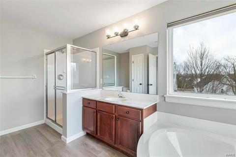 234 Chestnut Hill Dr, O'fallon, MO 63368 photo 19