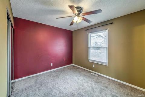 13 Holly Ct, O'fallon, MO 63366 photo 12