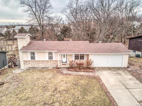 13 Holly Ct, O'fallon, MO 63366 photo 29