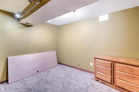 13 Holly Ct, O'fallon, MO 63366 photo 20