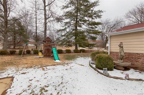 917 Dutch Mill Dr, Ballwin, MO 63011 photo 41