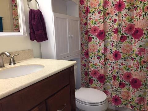 983 Silversprings Ln, Manchester, MO 63021 photo 38