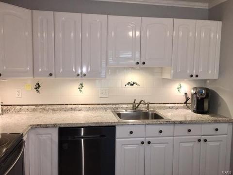 983 Silversprings Ln, Manchester, MO 63021 photo 18