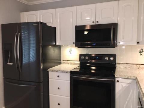 983 Silversprings Ln, Manchester, MO 63021 photo 17