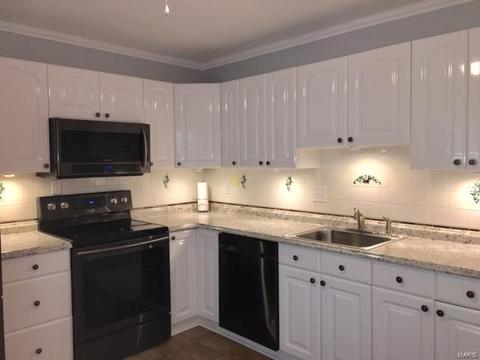 983 Silversprings Ln, Manchester, MO 63021 photo 15