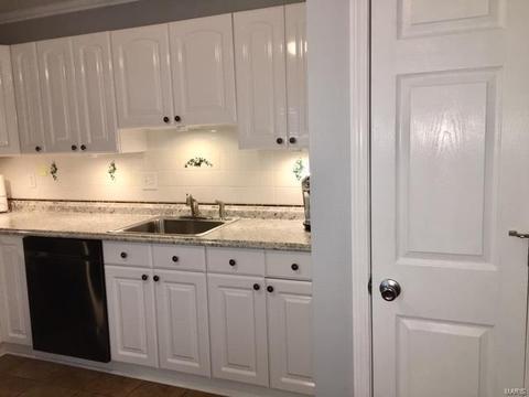 983 Silversprings Ln, Manchester, MO 63021 photo 16