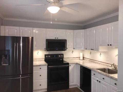 983 Silversprings Ln, Manchester, MO 63021 photo 14