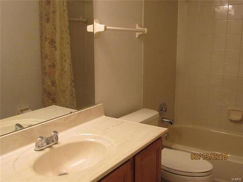 805 Woodside Trl, Ballwin, MO 63021 photo 18