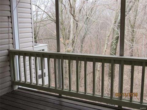 805 Woodside Trl, Ballwin, MO 63021 photo 21