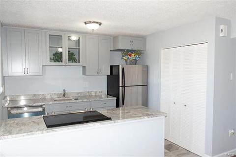 3137 Roger Williams #E, Bridgeton, MO 63044 photo 16