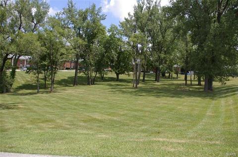 3137 Roger Williams #E, Bridgeton, MO 63044 photo 29