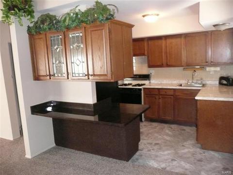 321 Orchard Ave, Ballwin, MO 63021 photo 5