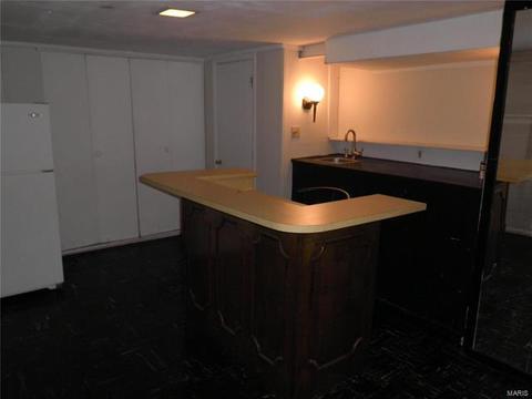 9800 Kelvin, Saint Louis, MO 63137 photo 14