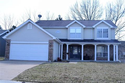 33 Coach Line Dr, O'fallon, MO 63368 photo 1