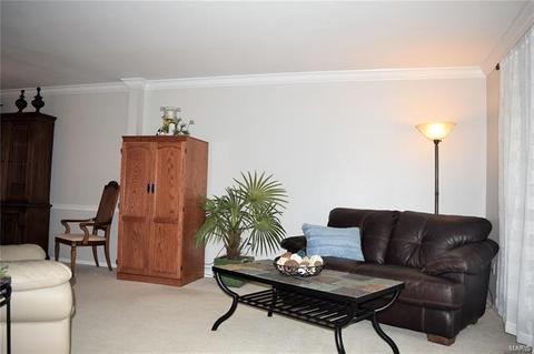 33 Coach Line Dr, O'fallon, MO 63368 photo 8