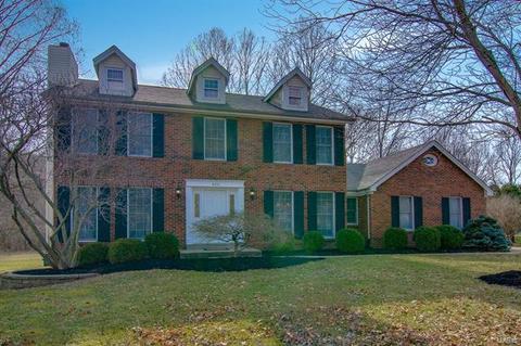 603 Martin Pointe, Wildwood, MO 63011 photo 1