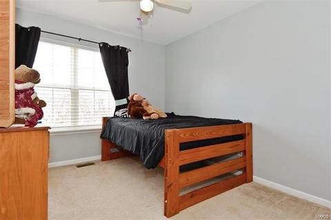 14 Spangle Way Dr, O'fallon, MO 63366 photo 24