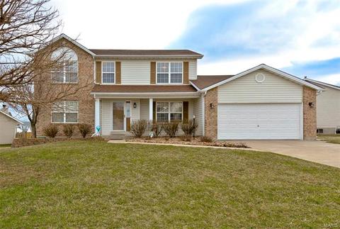14 Spangle Way Dr, O'fallon, MO 63366 photo 1