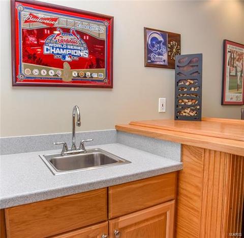 110 Spring Tree Ct, Saint Charles, MO 63303 photo 34