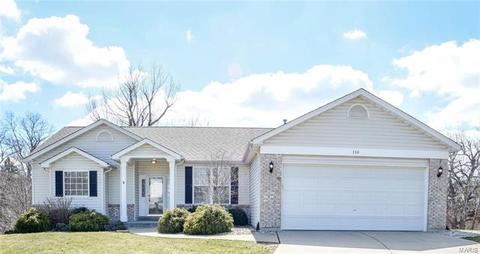 110 Spring Tree Ct, Saint Charles, MO 63303 photo 8