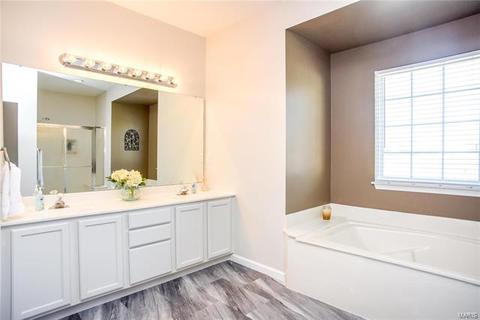 110 Spring Tree Ct, Saint Charles, MO 63303 photo 17