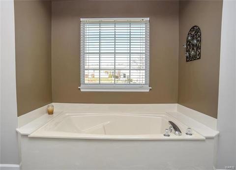 110 Spring Tree Ct, Saint Charles, MO 63303 photo 18