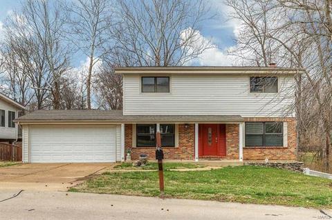 1227 Miremont Dr, Manchester, MO 63011 photo 1
