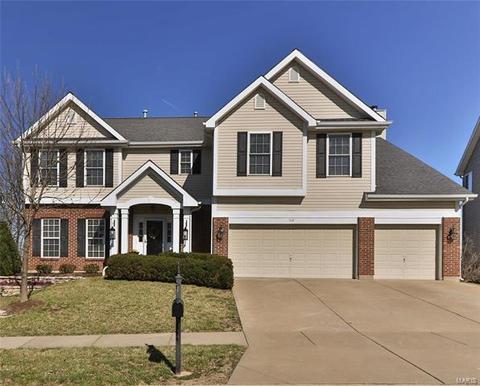 518 Meramec View Dr, Eureka, MO 63025 photo 1