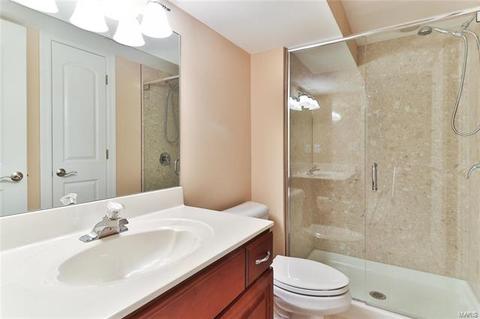 518 Meramec View Dr, Eureka, MO 63025 photo 48