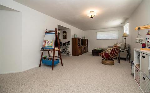 815 Boleyn, Manchester, MO 63021 photo 24