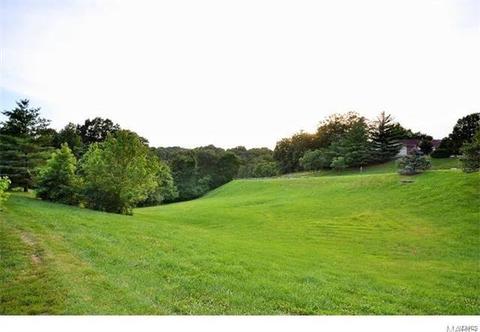 757 Ridgeside Dr #K, Ballwin, MO 63021 photo 3