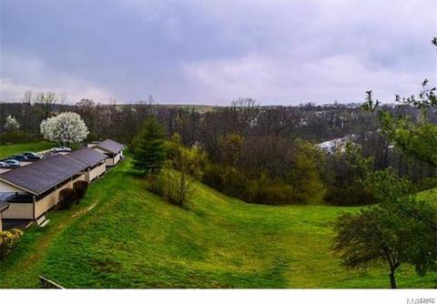 757 Ridgeside Dr #K, Ballwin, MO 63021 photo 23